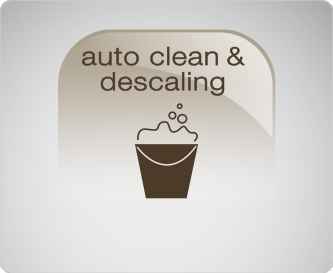 Auto Clean & Descaling